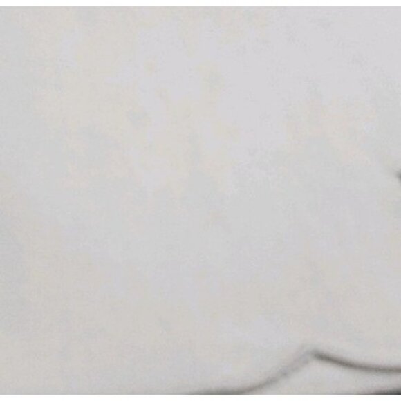 Gorgeous Handmade Embroidered Applique Table Cloth Cutaway Lace 12 Napkins 6 Tea - Picture 16 of 16